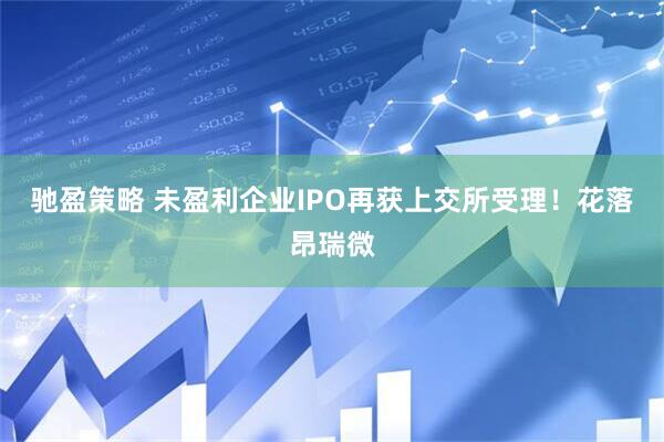 驰盈策略 未盈利企业IPO再获上交所受理！花落昂瑞微