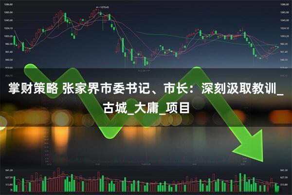 掌财策略 张家界市委书记、市长：深刻汲取教训_古城_大庸_项目