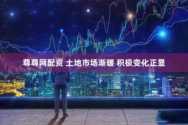 尊尊网配资 土地市场渐暖 积极变化正显