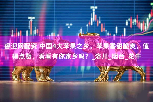 睿迎网配资 中国4大苹果之乡，苹果香甜脆爽，值得点赞，看看有你家乡吗？_洛川_烟台_花牛