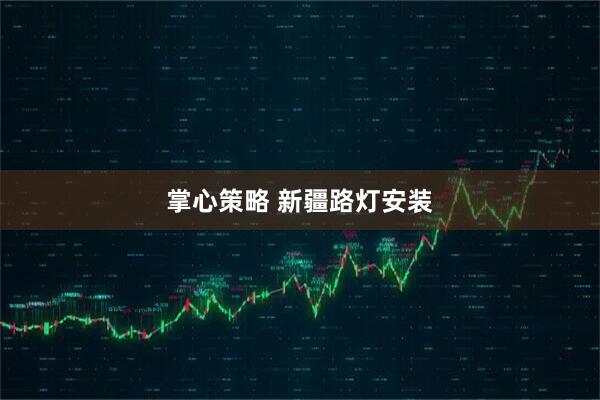 掌心策略 新疆路灯安装